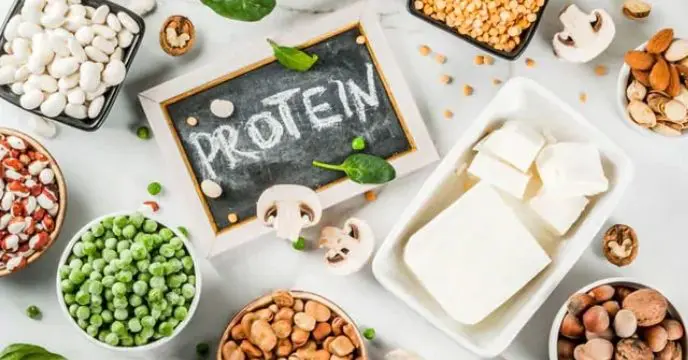 protein